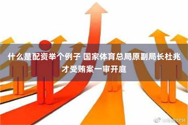 什么是配资举个例子 国家体育总局原副局长杜兆才受贿案一审开庭