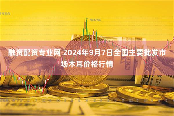 融资配资专业网 2024年9月7日全国主要批发市场木耳价格行情