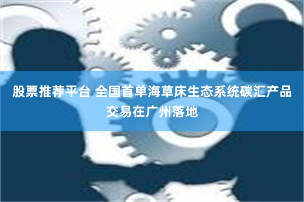 股票推荐平台 全国首单海草床生态系统碳汇产品交易在广州落地