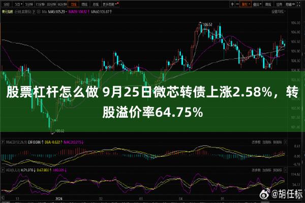 股票杠杆怎么做 9月25日微芯转债上涨2.58%，转股溢价率64.75%