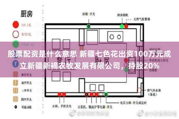 股票配资是什么意思 新疆七色花出资100万元成立新疆新褐农牧