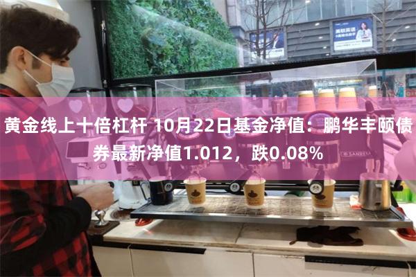 黄金线上十倍杠杆 10月22日基金净值：鹏华丰颐债券最新净值