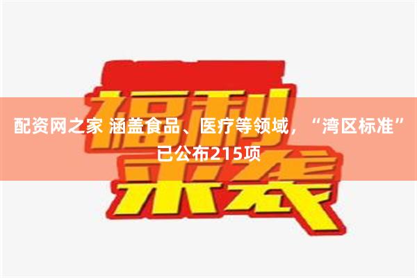 配资网之家 涵盖食品、医疗等领域，“湾区标准”已公布215项