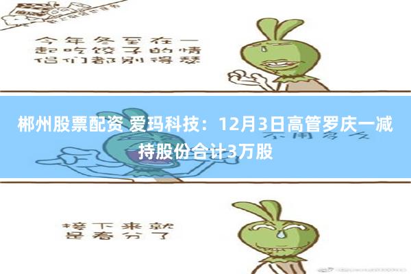 郴州股票配资 爱玛科技：12月3日高管罗庆一减持股份合计3万股