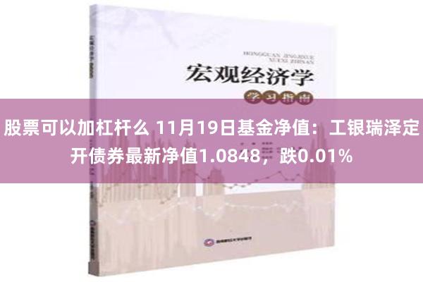 股票可以加杠杆么 11月19日基金净值：工银瑞泽定开债券最新