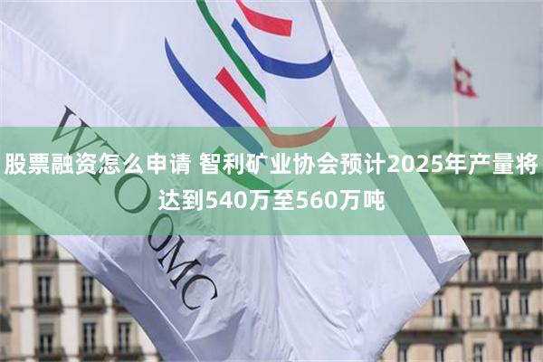 股票融资怎么申请 智利矿业协会预计2025年产量将达到540