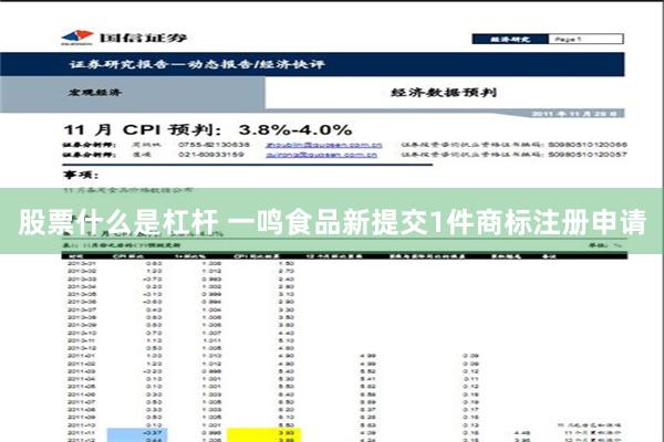 股票什么是杠杆 一鸣食品新提交1件商标注册申请