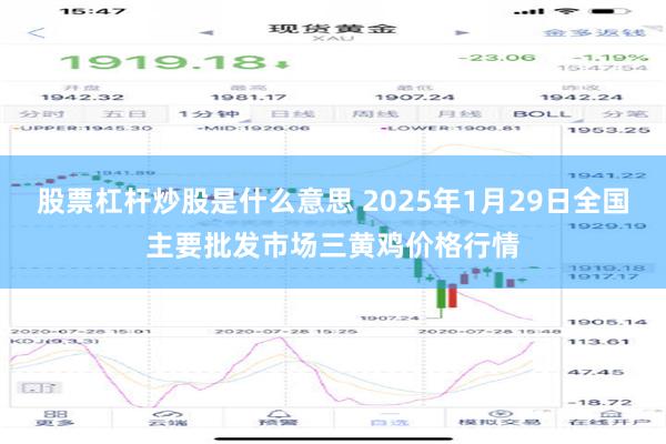 股票杠杆炒股是什么意思 2025年1月29日全国主要批发市场三黄鸡价格行情